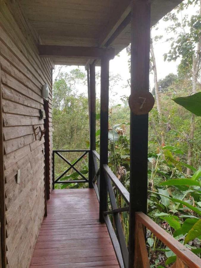 El Dorado Nature Reserve Minca Exterior photo